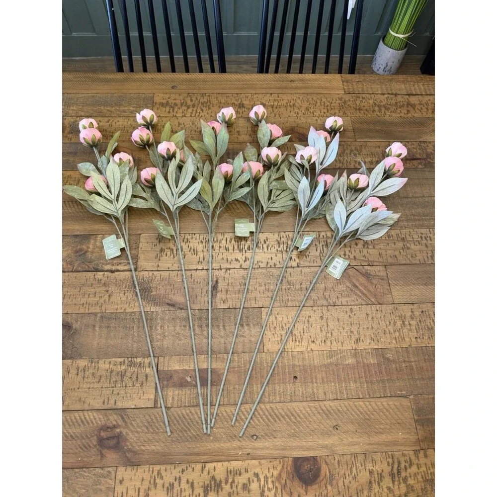 Set of 6 Viral Ashland Coral Peony Stems From Michael’s NEW 2026